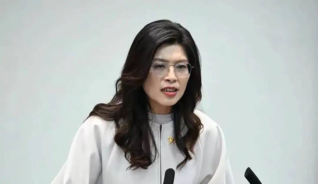郑丽文：我不敢保证我以后不会再说错话，但起码我知道这次错的话不敢再说了！