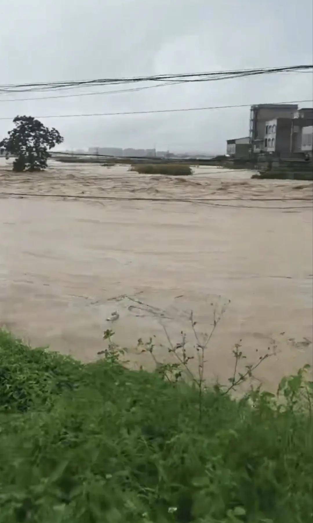 立即进入应急状态！堤坝“缺口”，横州告急