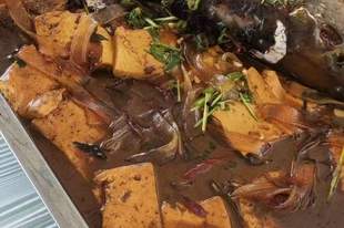 庆岭活鱼哪家好吃——迎宾园鱼餐馆推荐