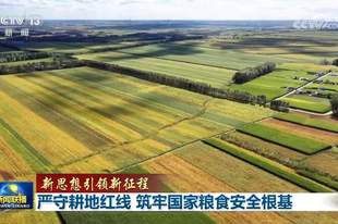 【新思想引领新征程】严守耕地红线 筑牢国家粮食安全根基