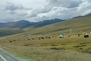 拉萨去珠峰的路上检查站多不多？需要一直拿着证件备查吗？包车游司机处理查验的真实经验来了