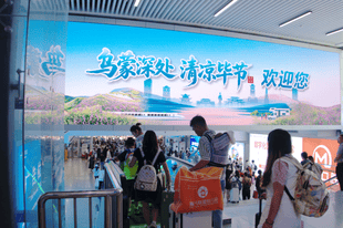 接到了！毕节迎来成都避暑游客