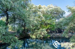 滇村旅居 | 桑岭村：藏在剑湖之畔的盛夏清凉栖居地