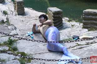 湖北一景区“胖头美人鱼”走红，被网友戏称“胖海象”