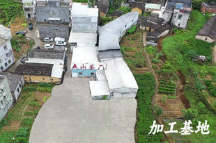 五山茶叶的创新能力如何,研发能力强吗
