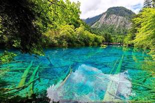 “九寨沟湖水染色”谣言为何反复?专家释疑:景区热度催生谣言 应理性甄别丨云辟谣