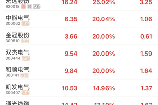电网设备板块，涨停潮