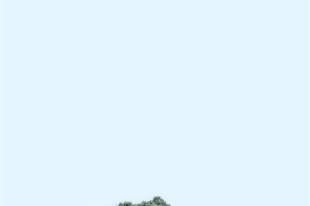 游客靠近野景点 AI语音喊话远离