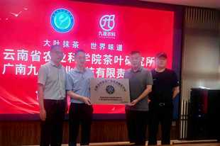 院企携手科创赋能 云南大叶种抹茶开启标准化国际化新征程