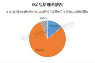 媒体与娱乐业A股上市公司G维度分析：基于2024年度数据(上)