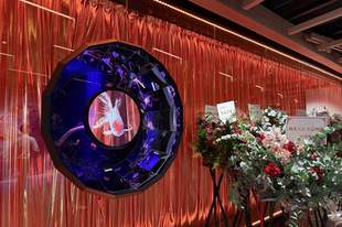 金鱼剧场启幕，上海文旅市场迎全新体验地标