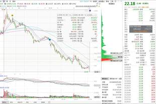 立案+债务逾期双雷齐炸！联创光电连收两字跌停，66万手封单，年内已经下跌超60%