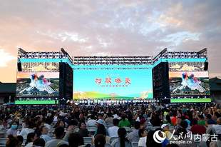 “暖城”舞台传“乡音”