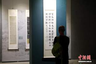 西安碑林海峡两岸临书展吸引游客参观