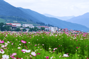 央媒看白山 | 央视新闻：山水相约——临江市苇沙河镇边境乡村旅游风景线