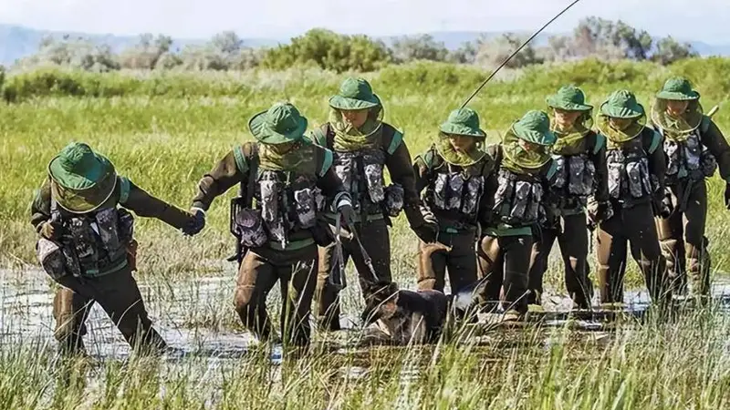 我国最危险的边防区，士兵睡觉都得全副武装，7条军犬已被咬死