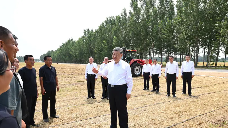 记者手记:根脉在大地上,力量在人民中