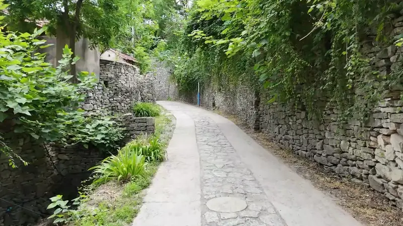 山东淄博：古村留古韵 文旅促振兴