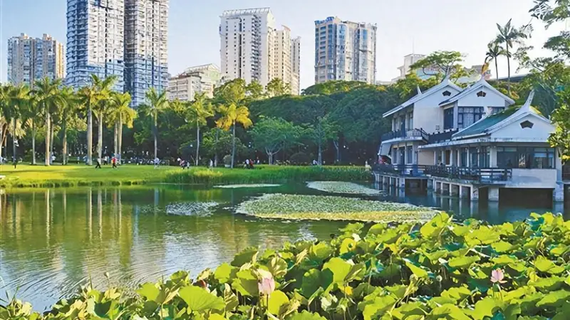 市民“出门进园”成寻常,厦门目前共有300多座公园(含口袋公园)
