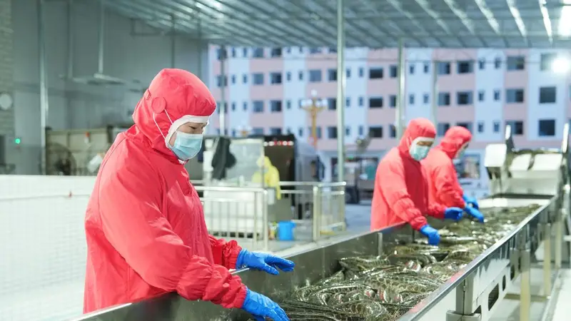 千亿火锅市场细分赛道激战 鱼火锅从“活鱼现杀”卷向“情绪价值”