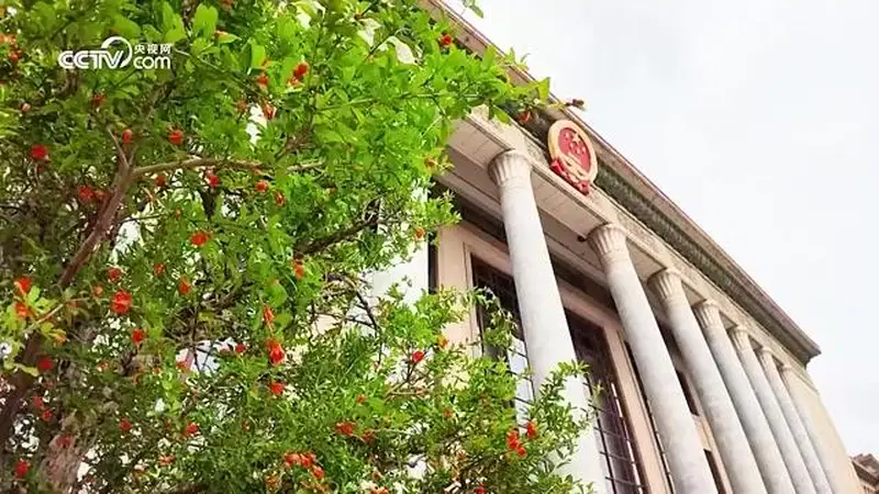 时政微视频|跨越山海的“北京时间”——2026年上半年中国元首外交纪事
