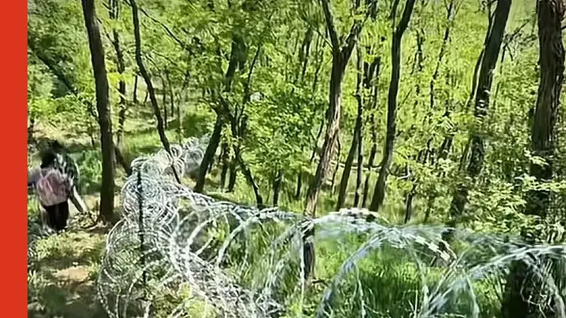 刀片铁丝网围泰山,错哪儿了?