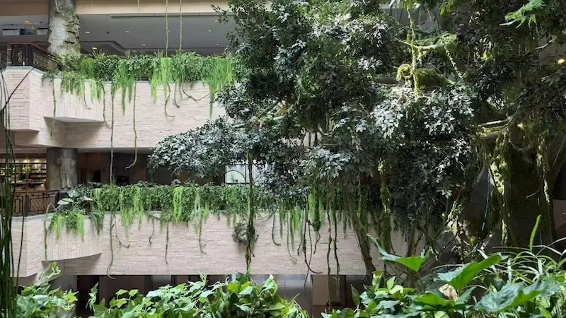 现场|穿过上海市中心的玉米地,遇见6千年美洲古文明