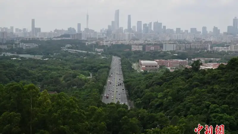 走进广东省龙眼洞林场 探秘广州“城市绿肺”