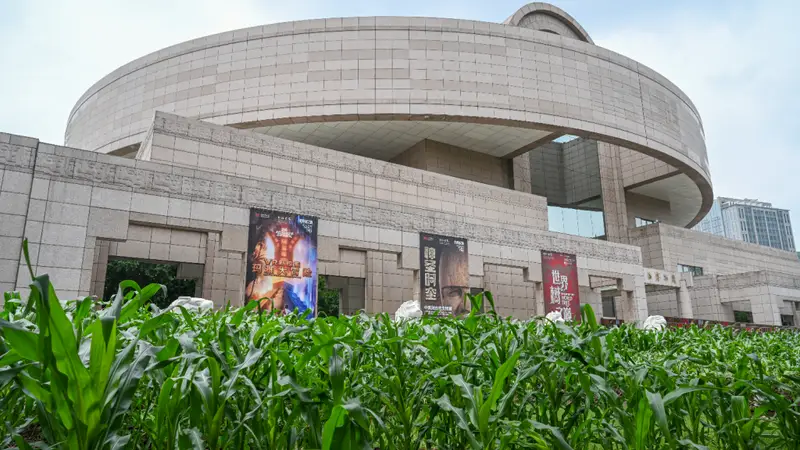魔都眼|从玉米地到世界树:上博新展以宇宙观串联三千年美洲文明