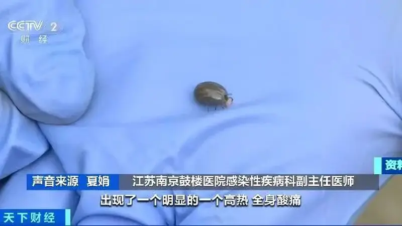 户外露营 小心被这种虫子“贴贴”!