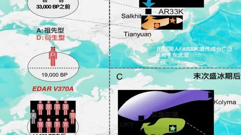 付巧妹：古人类演化研究将向更古老进军和史前更近时代延伸