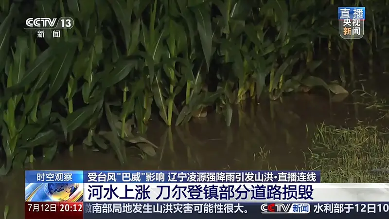 大桥被淹没、玉米泡水1米深,直击辽宁凌源强降雨现场