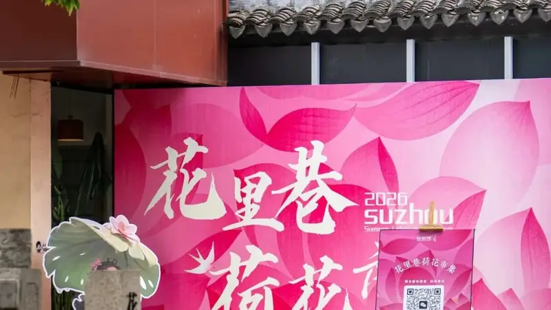 此刻姑苏｜一巷荷花，半日清闲