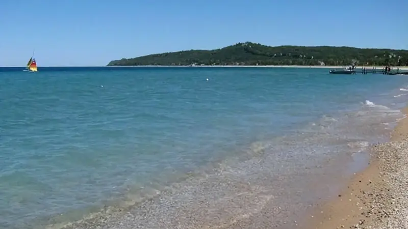 耗时百年修复！被破坏的湿地沙丘，如今重焕生机引鸟兽归巢