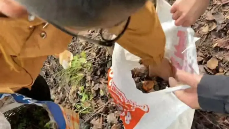 情侣川西旅游,辛苦采摘10斤菌子,遇到当地小孩哥果断扔掉8斤,当事人:他丢的时候好潇洒