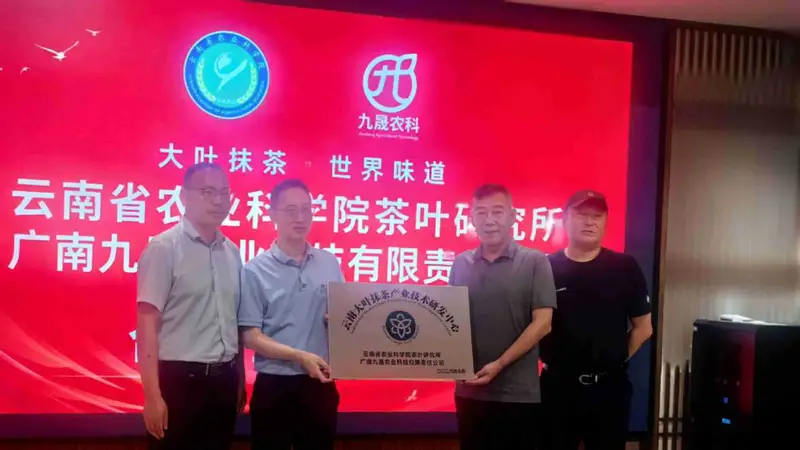 院企携手科创赋能 云南大叶种抹茶开启标准化国际化新征程