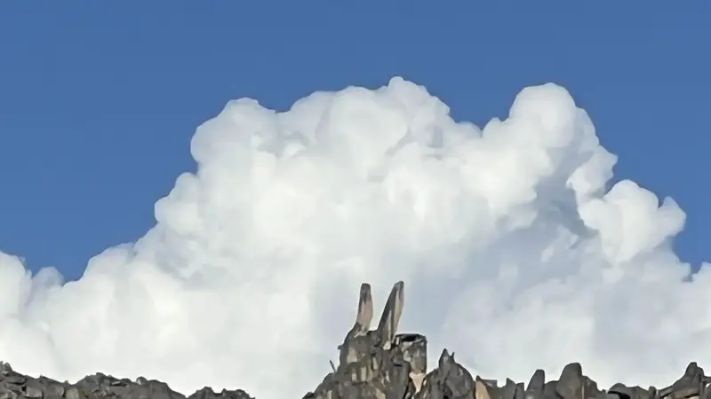 这世界上有许多的山，你只爱其中一座山。