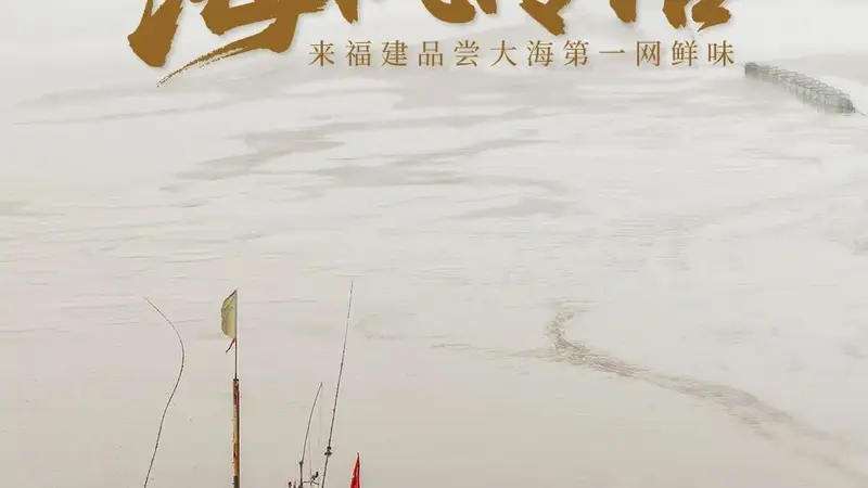海风传信！来福建品尝大海第一网鲜味