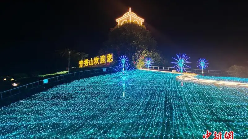 广西南宁梦幻光影夜引客来