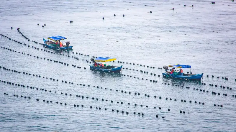 北纬39度的清爽:长海县海岛避暑指南