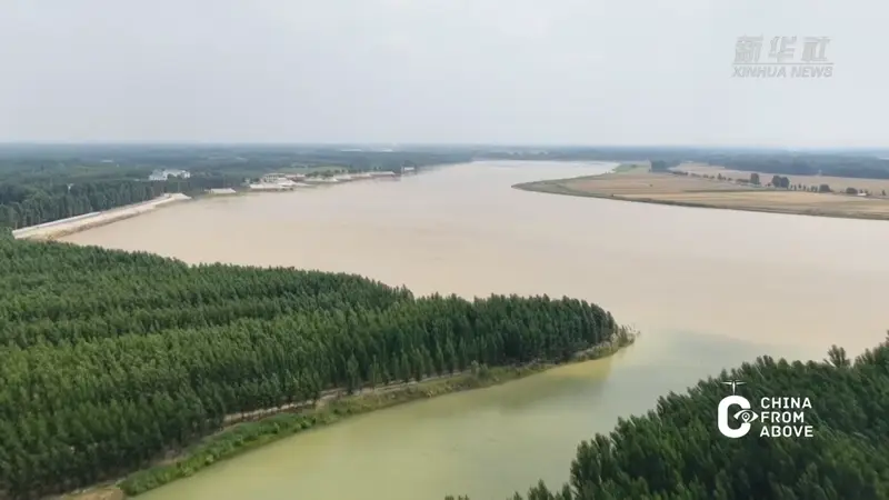 瞰中国|山东阳谷:秋日黄河 水韵悠悠