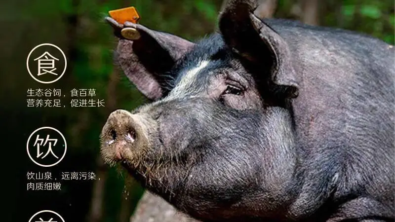 解锁“梅肉”之谜:从餐桌美味到童年记忆的全方位指南