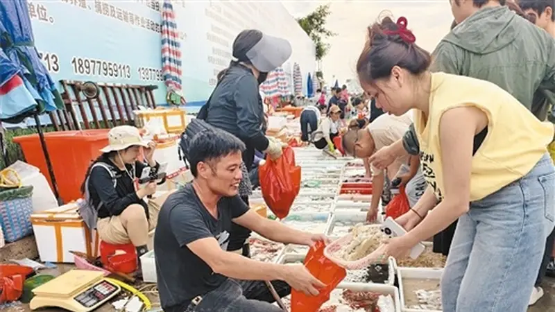 船归港,鱼满舱