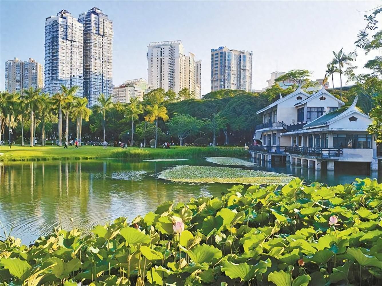 市民“出门进园”成寻常,厦门目前共有300多座公园(含口袋公园)