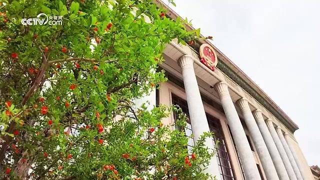 时政微视频|跨越山海的“北京时间”——2026年上半年中国元首外交纪事