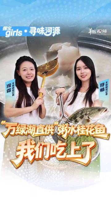 “万绿湖直供”的粥水桂花鱼,将湖鲜的清甜释放到极致|探宝girls•寻味河源