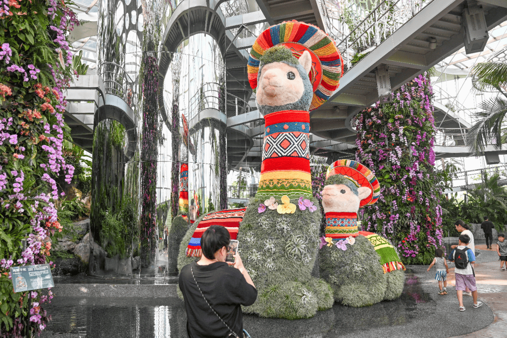 魔都眼｜世界树之境美洲植物展：印加“神兽”羊驼等你打卡