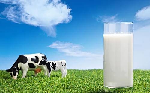 别再传了！复原乳真的很可靠！