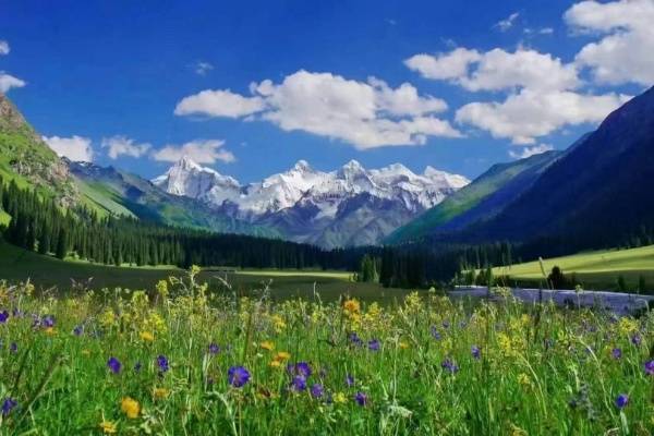 穿越天山南北：一位伊犁本地向导写给旅人的十二时辰漫游记