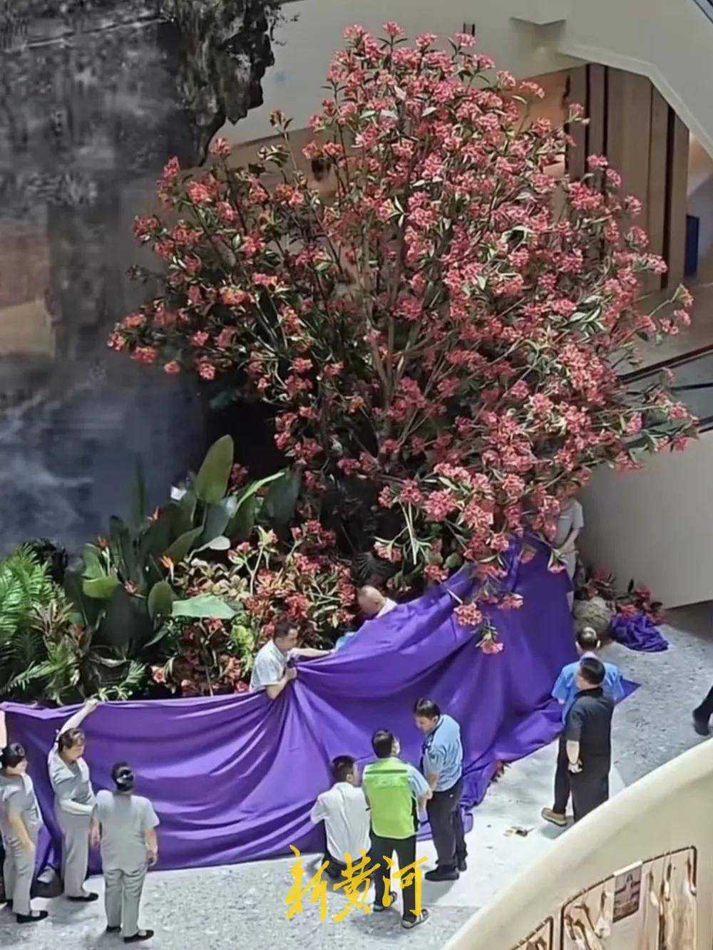 西安赛格回应“商户负责人坠亡”